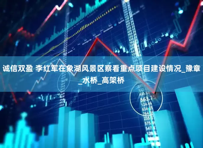 诚信双盈 李红军在象湖风景区察看重点项目建设情况_豫章_水桥_高架桥