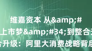 维嘉资本 从&#34;独立上市梦&#34;到整合升级：阿里大消费战略背后的市场变局