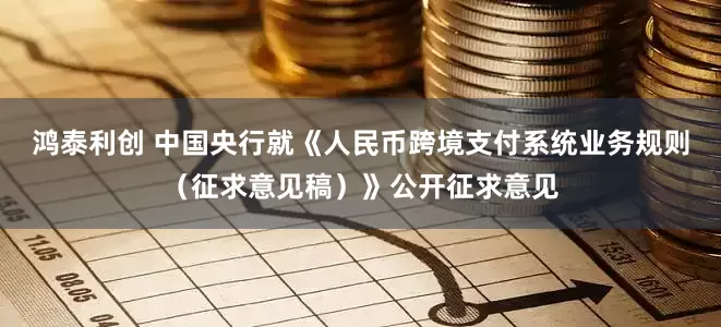 鸿泰利创 中国央行就《人民币跨境支付系统业务规则（征求意见稿）》公开征求意见