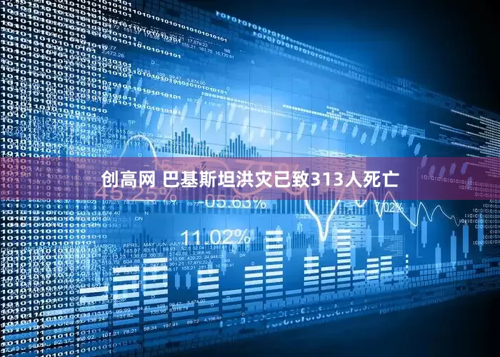 创高网 巴基斯坦洪灾已致313人死亡