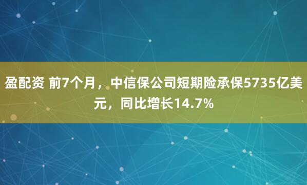 盈配资 前7个月，中信保公司短期险承保5735亿美元，同比增长14.7%